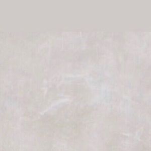 Meet your Posher, Lenora